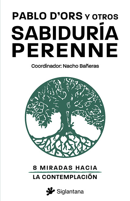 Sabiduría perenne: 8 miradas hacia la contemplación