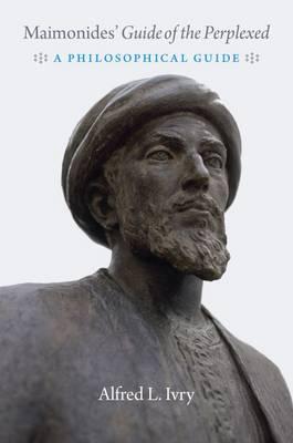 Maimonides' Guide to the perplexed: a philosophical guide