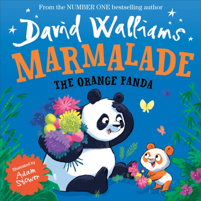 Marmalade: The Orange Panda