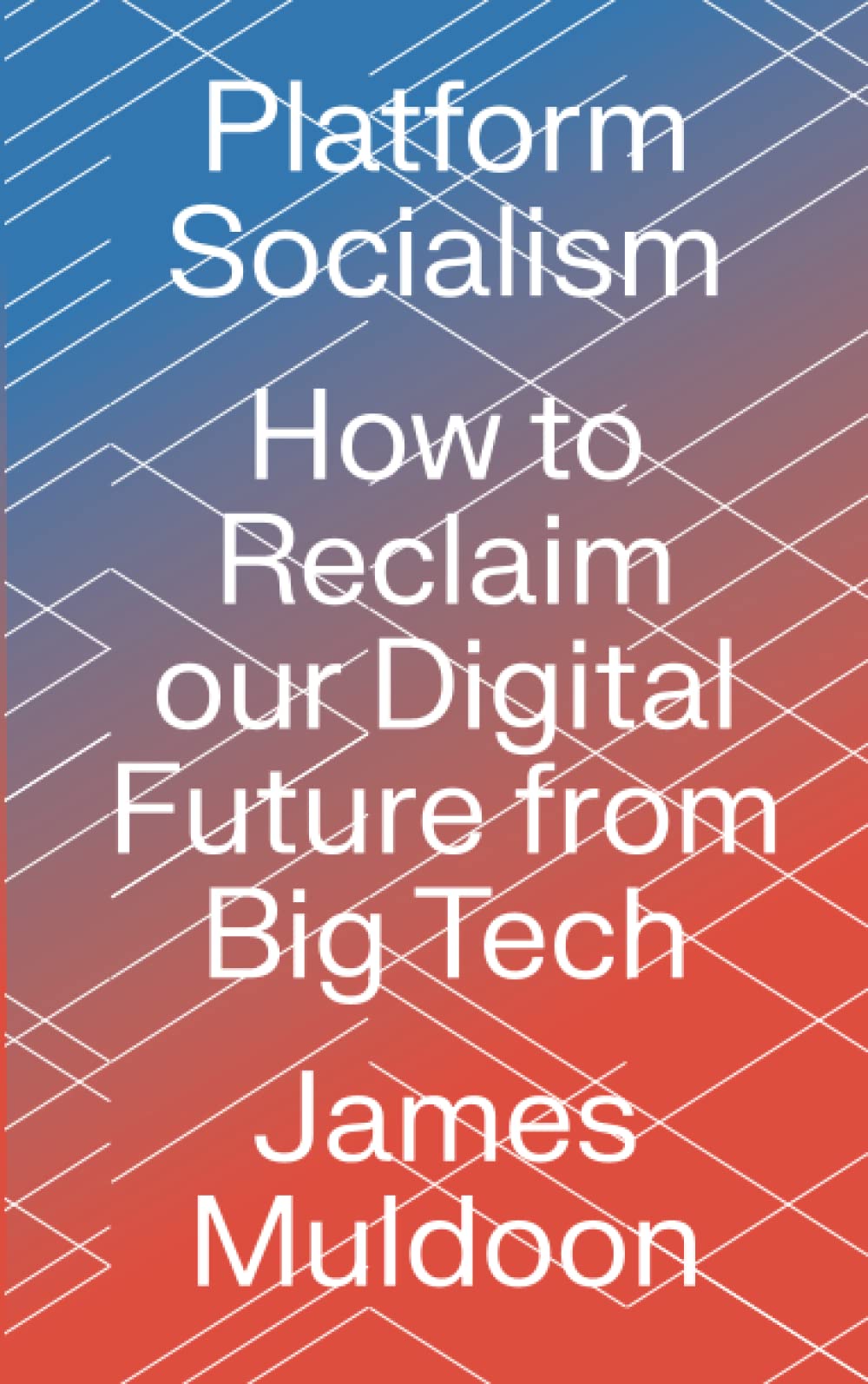 Platform Socialism: How to Reclaim our Digital Future from Big Tech