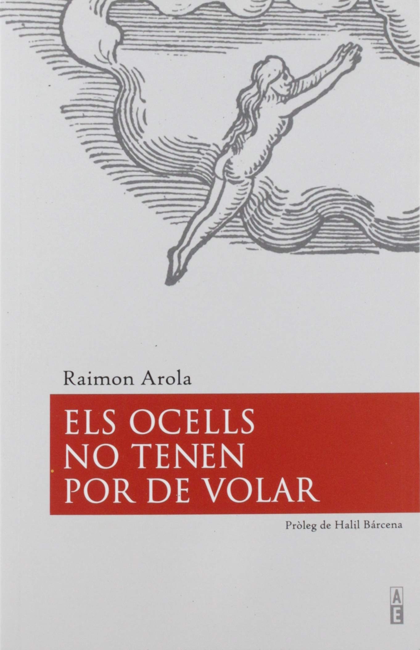 Els ocells no tenen por de volar