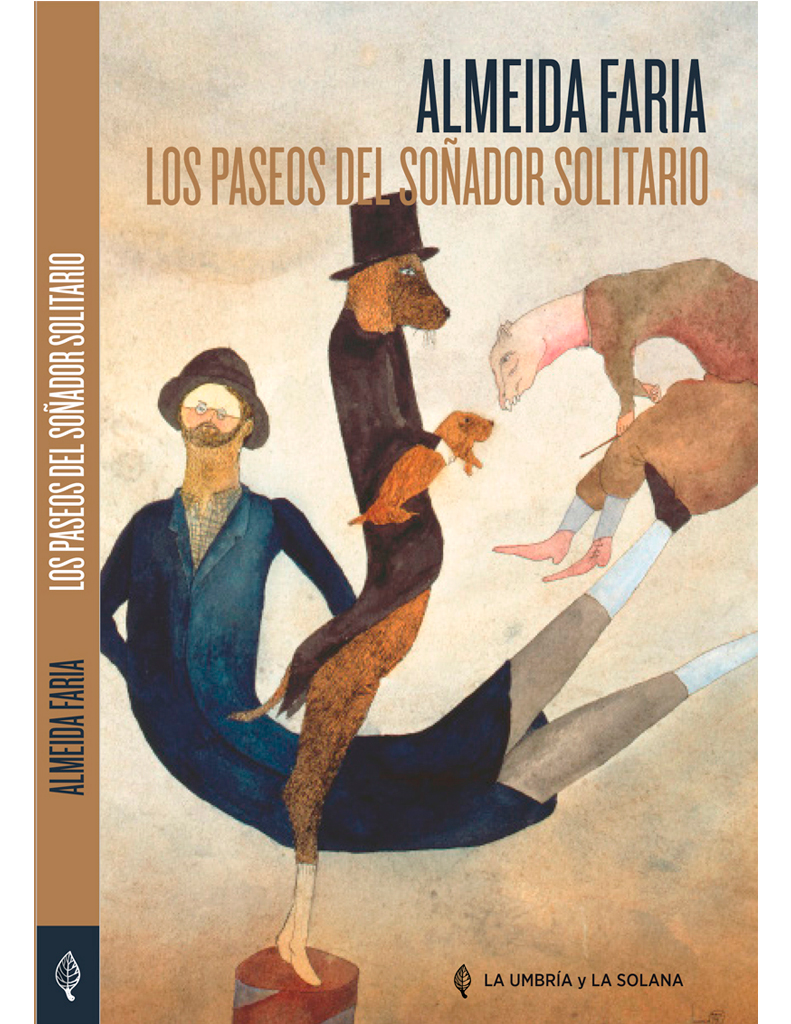 Los paseos del soñador solitario