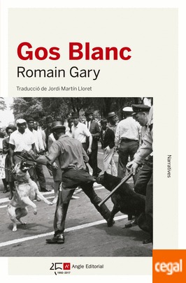 Gos blanc