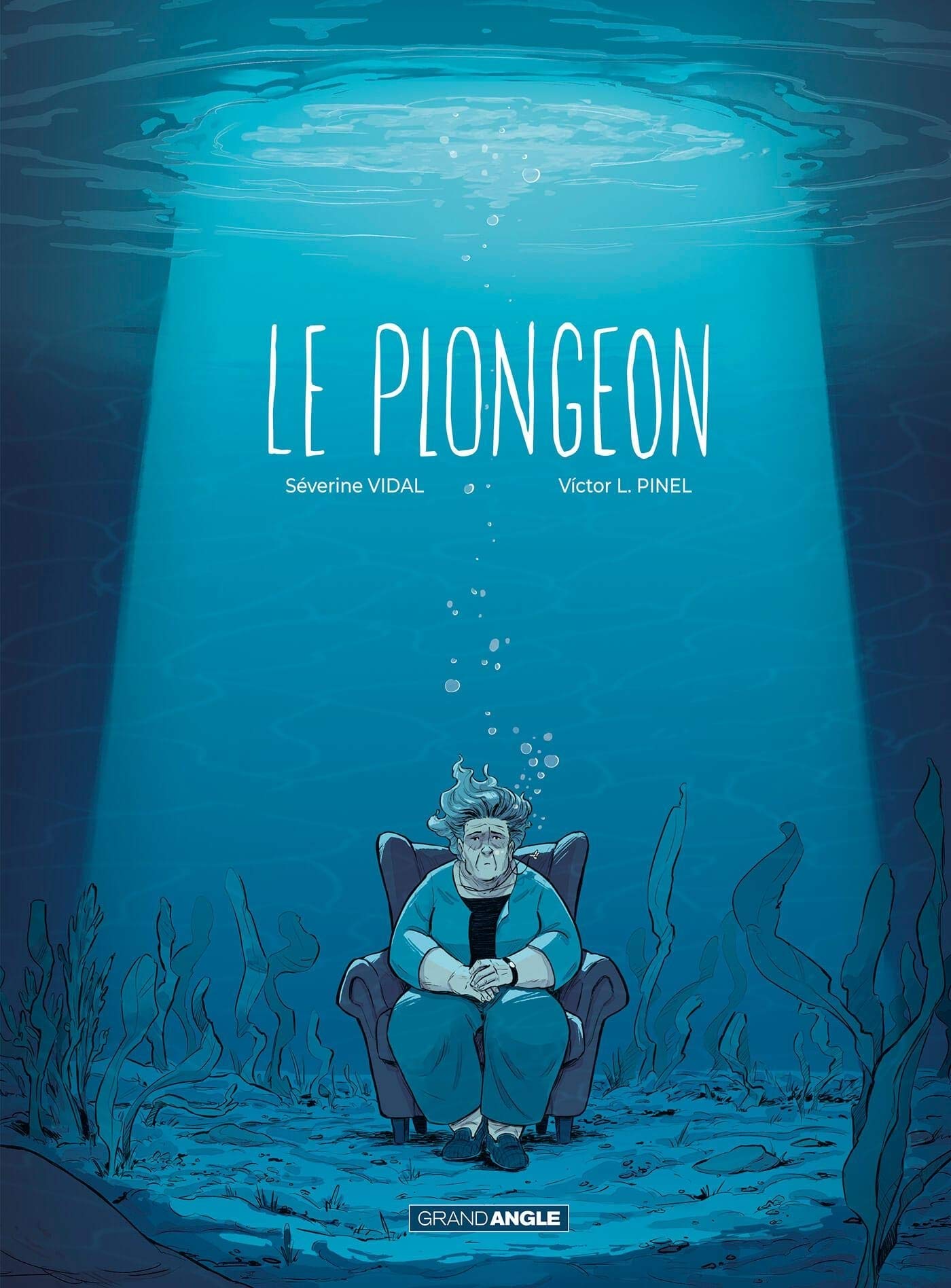 Le Plongeon (Grand Angle)