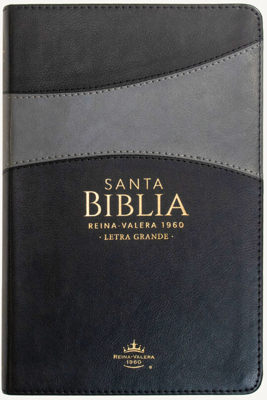 Biblia Reina Valera 1960 (Tamaño manual con letra grande y en formato piel)