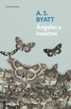 Ángeles e insectos