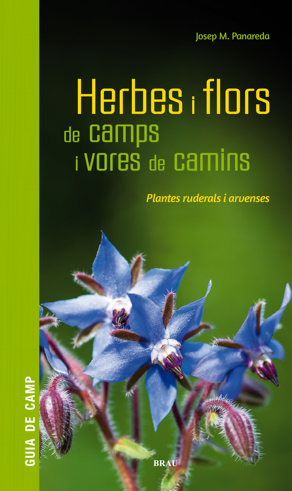 Herbes i flors de camps i vores de camins. Plantes ruderals i arvenses