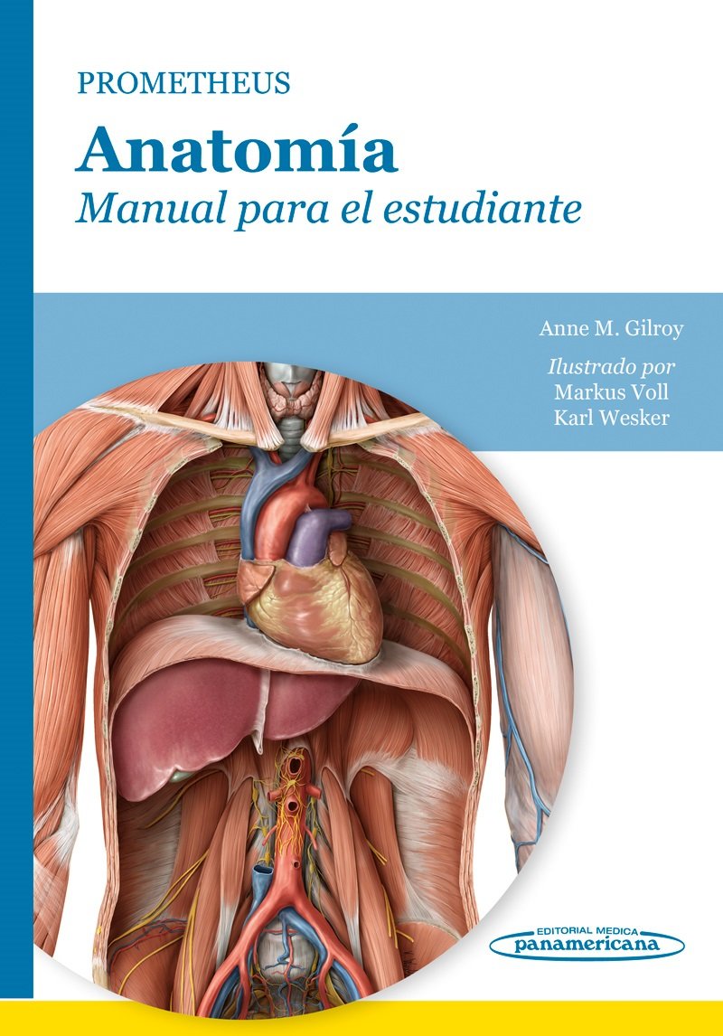 Prometheus. Anatomía (Manual para el estudiante)