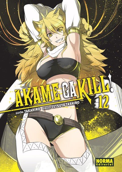 Akame ga kill! 12