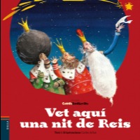 Vet aquí una nit de reis (Contes Esbojarrats lletra lligada)