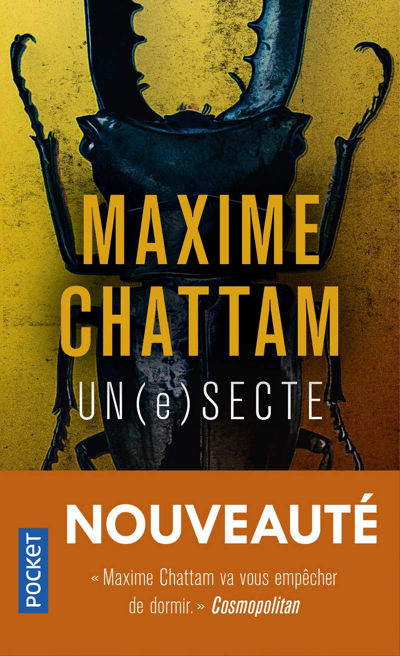 Un(e)secte (Pocket. Thriller)