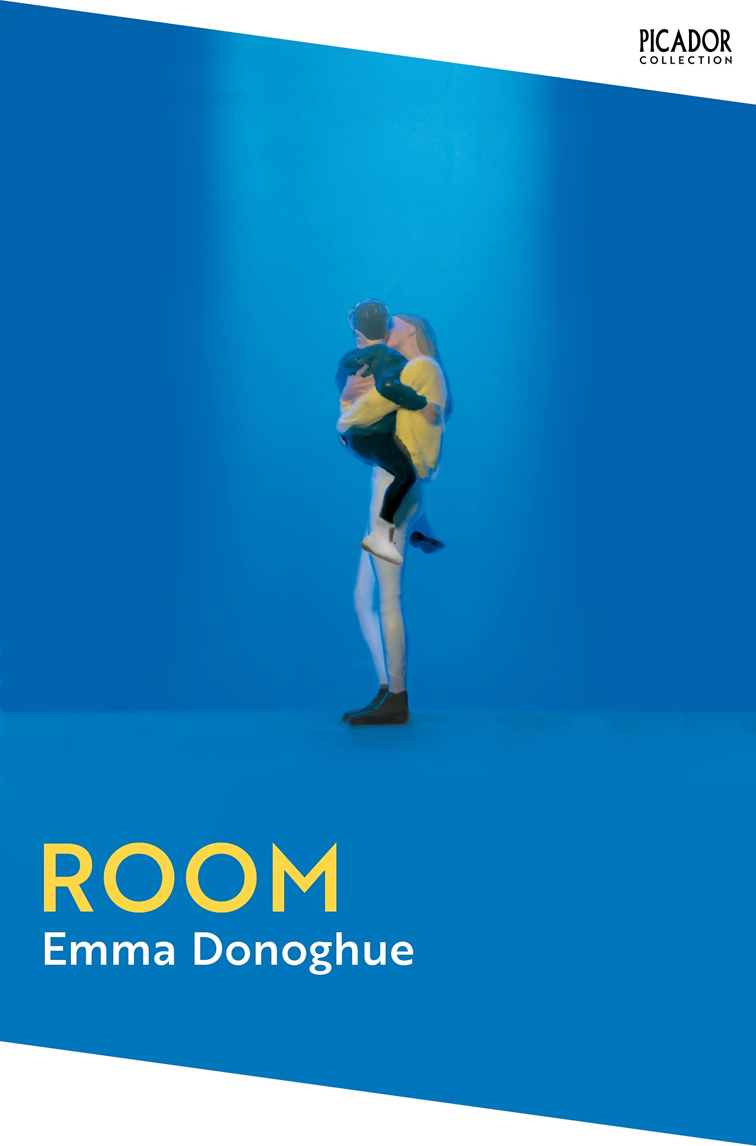 Room (Picador Collection, 10)