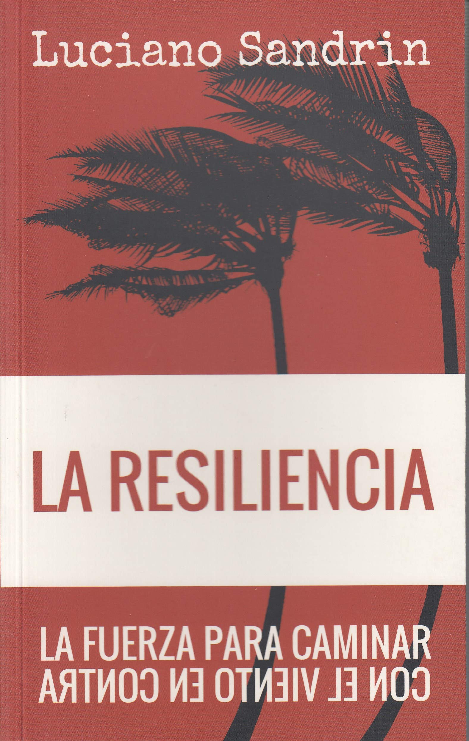 La resiliencia. La fuerza para caminar con el viento en contra.