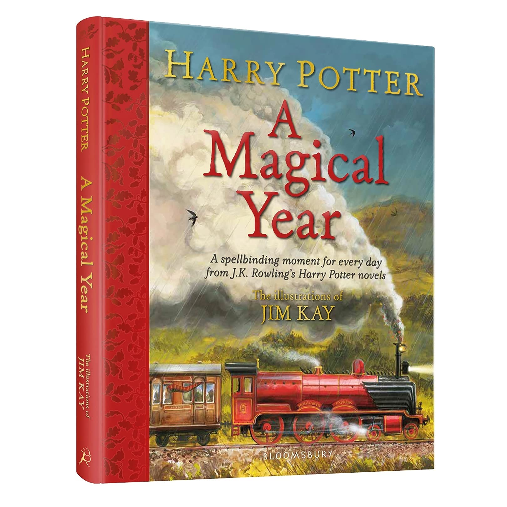 Harry Potter  A Magical Year