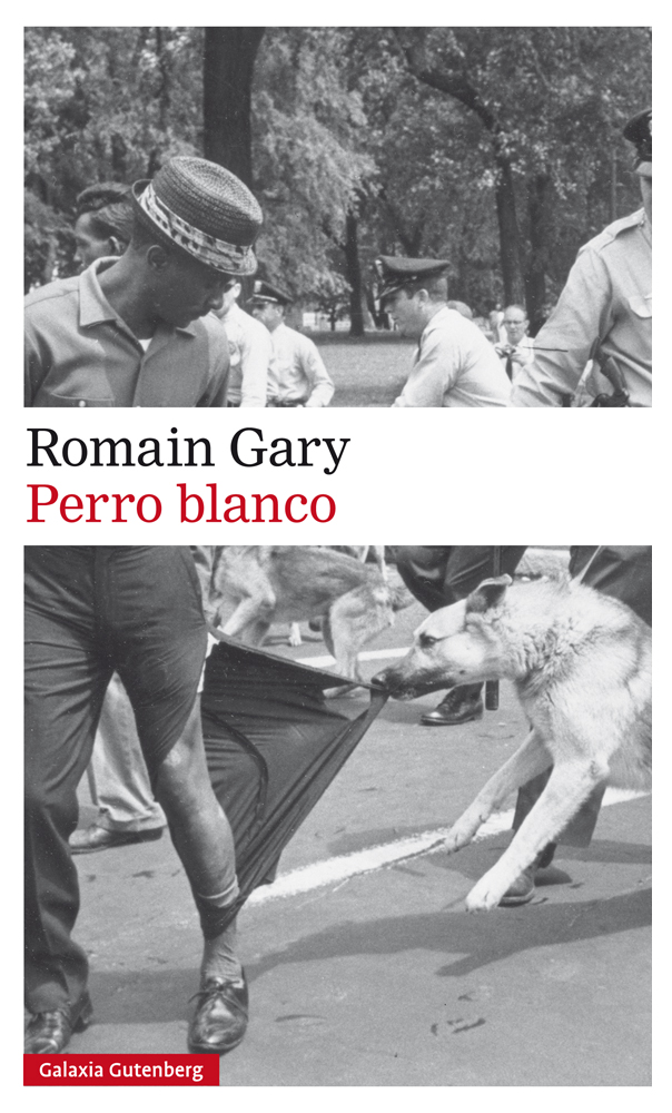 Perro blanco