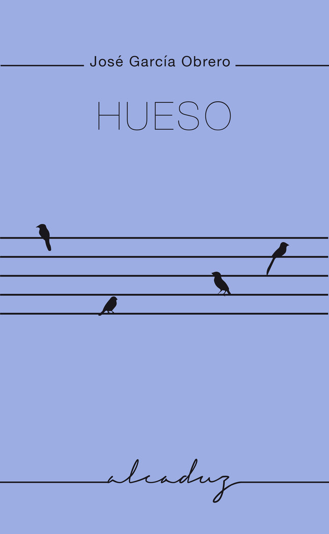 Hueso