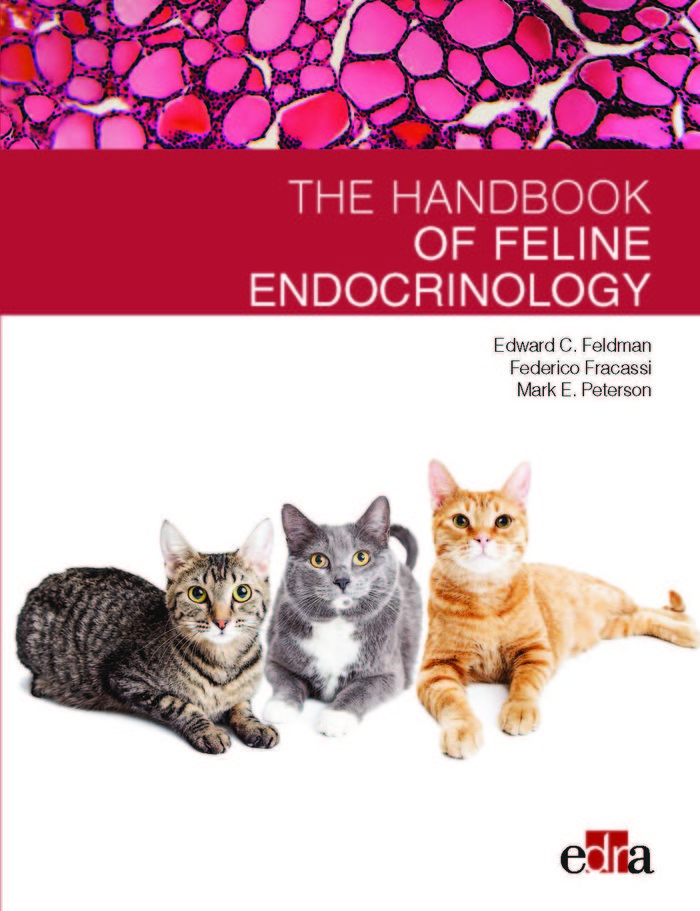 Feline endocrinology