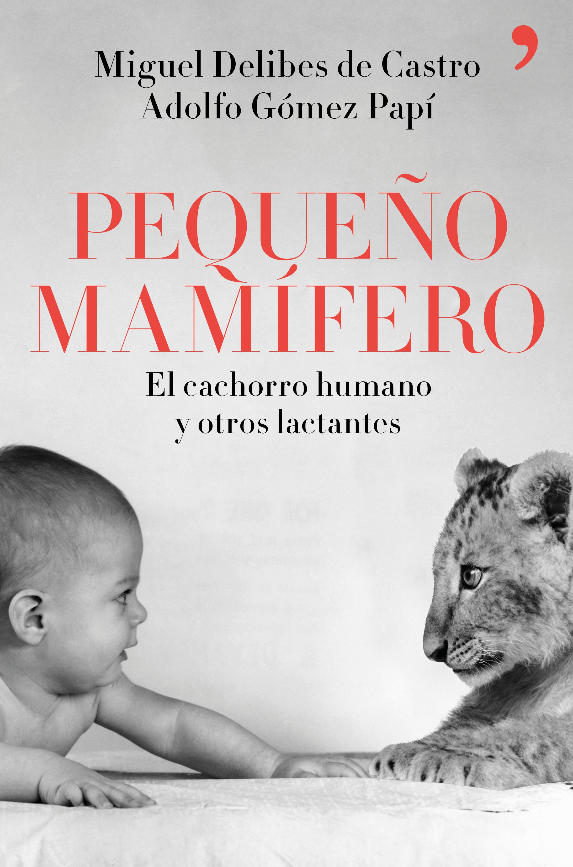 Pequeño mamífero. El cachorro humano y otros lactantes