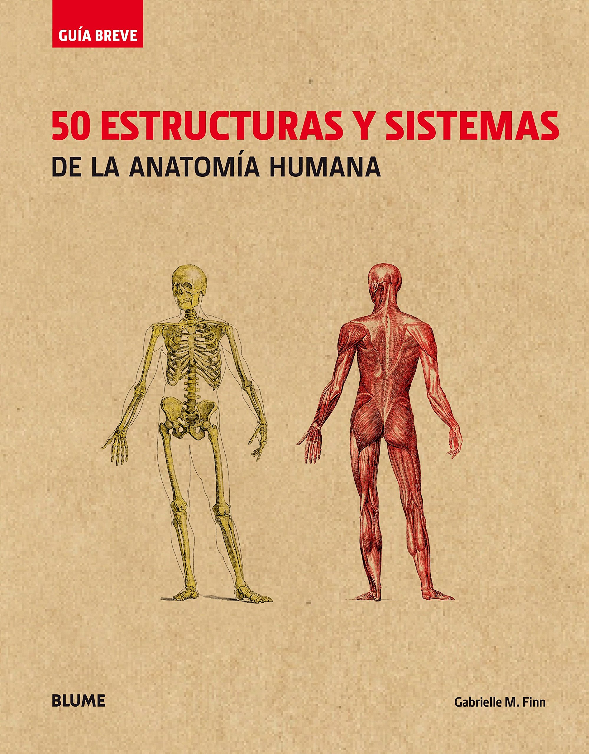 50 estructuras y sistemas de la anatomía humana