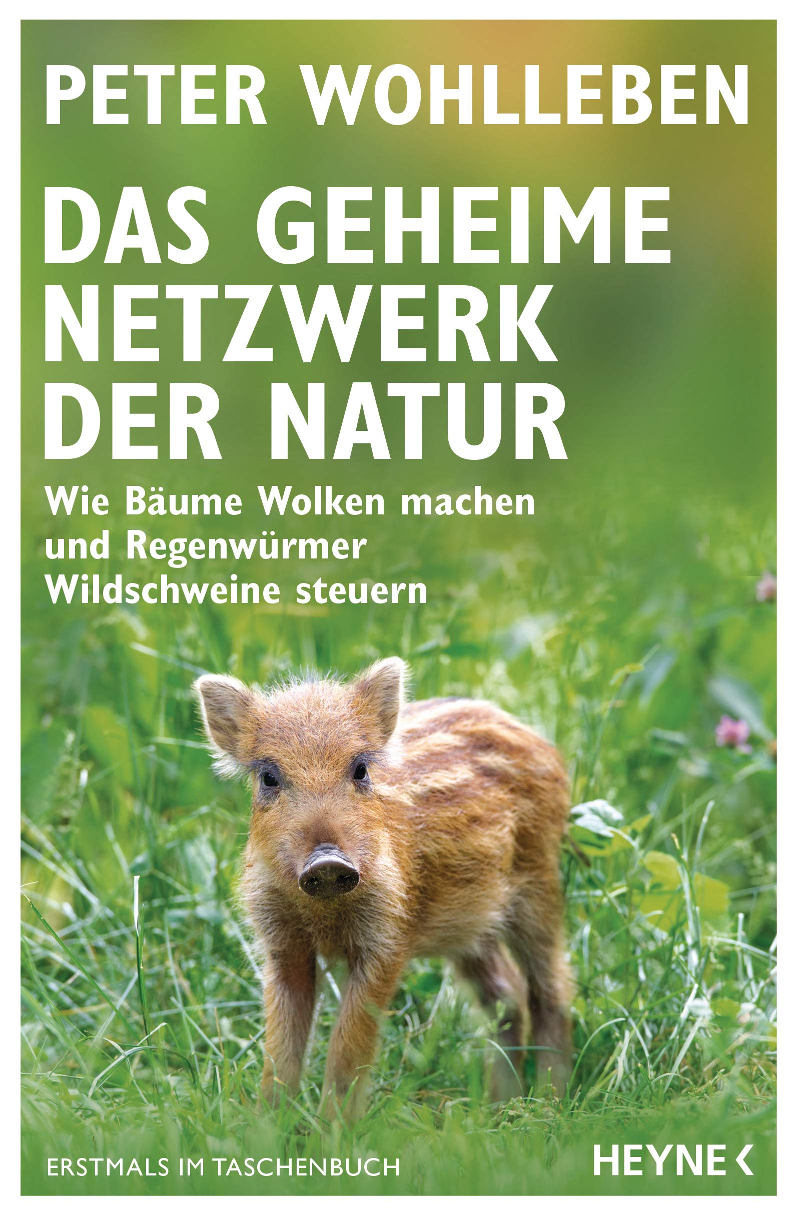 Das geheime Netzwerk der Natur: Wie Bäume Wolken machen und Regenwürmer Wildschweine steuern