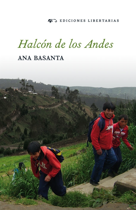 Halcón de los Andes