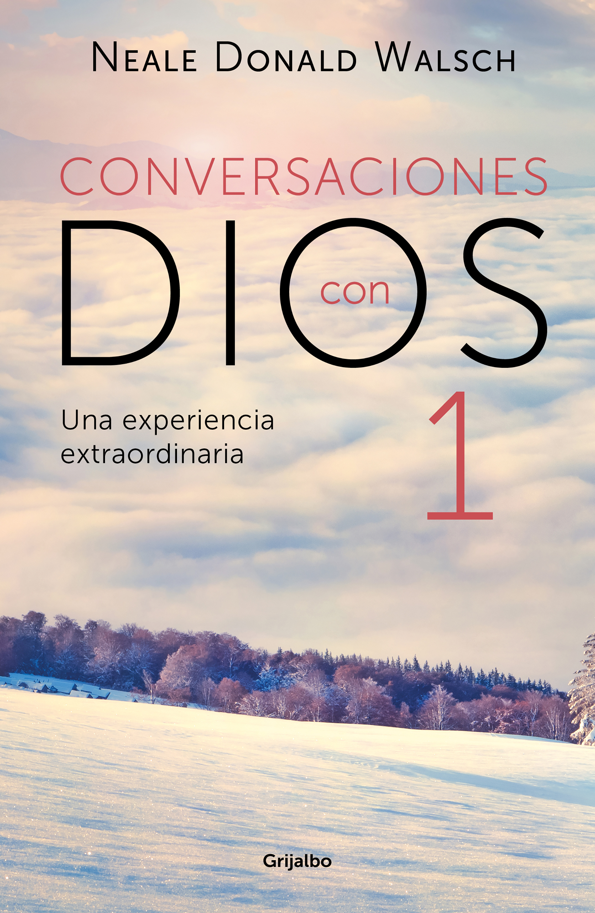 Conversaciones con Dios, I: Una experiencia extraordinaria