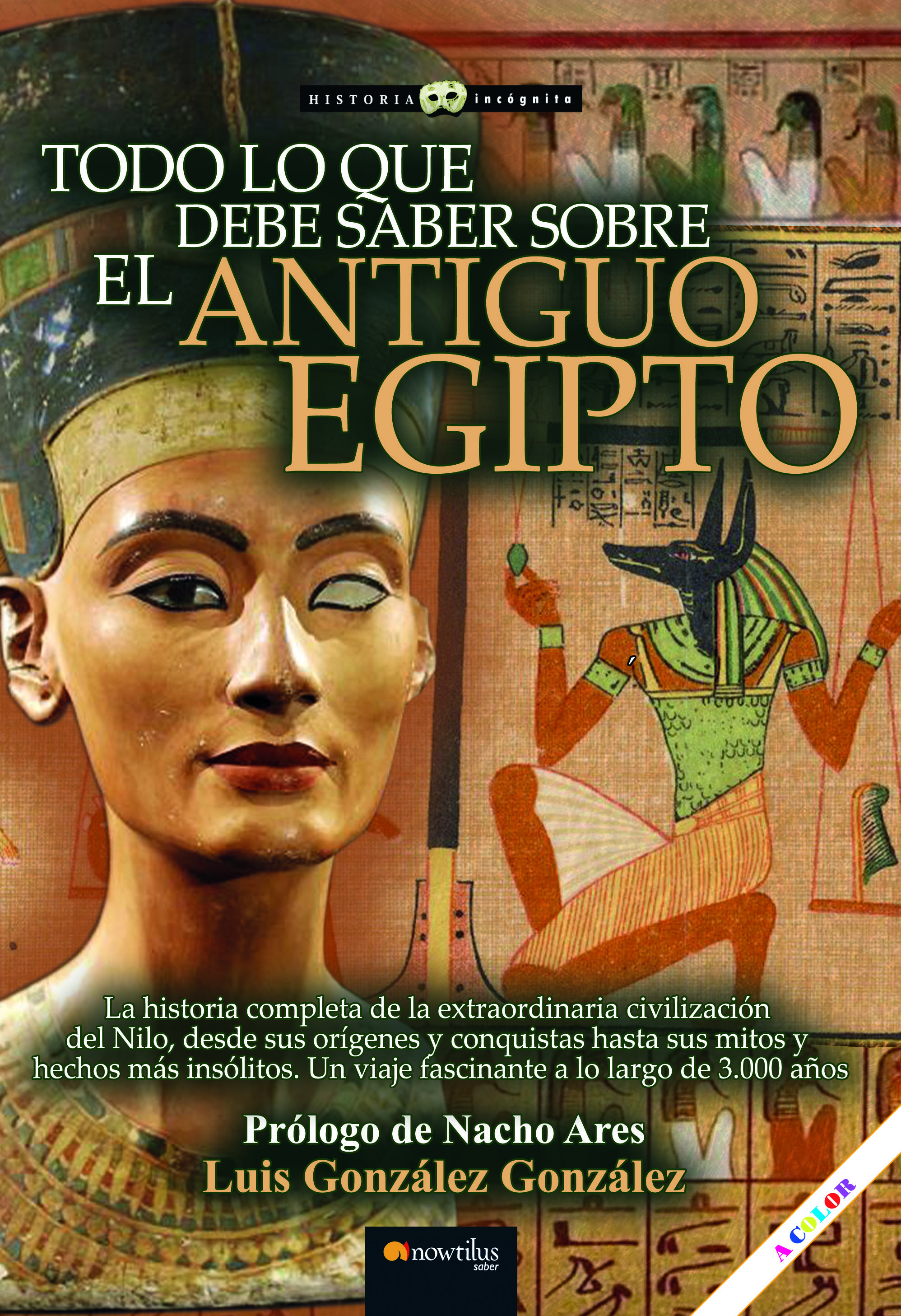 Todo lo que debe saber sobre el Antiguo Egipto (Nueva edición en color)