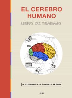 El cerebro humano. Libro de trabajo. Nuevo edición