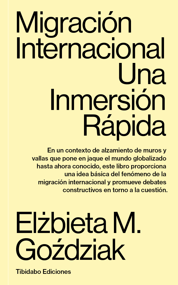 Migración internacional. Una inmersión rápida