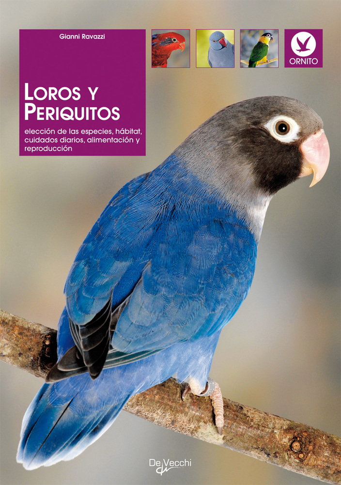 Loros y periquitos