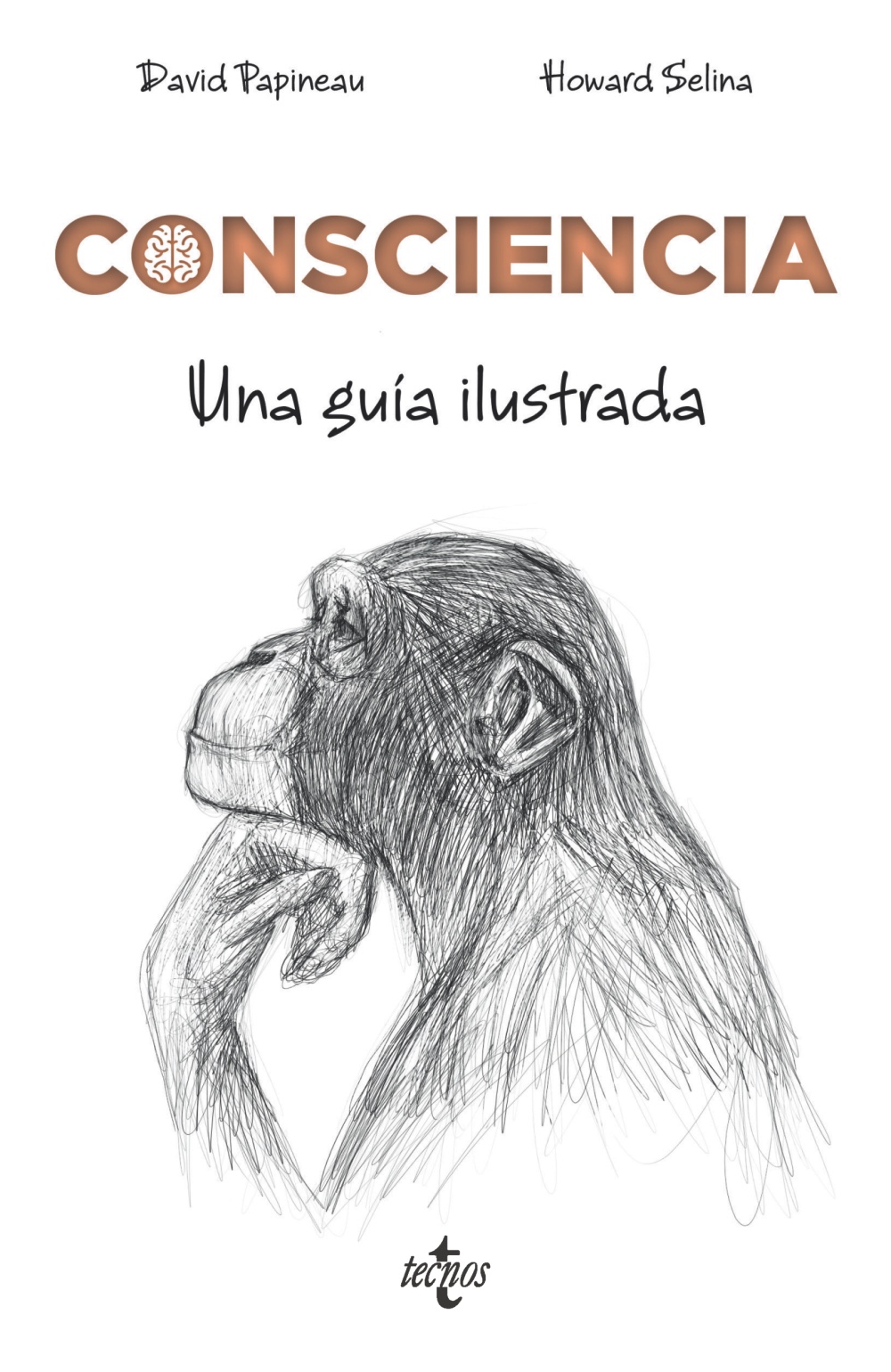 Consciencia: una guía ilustrada