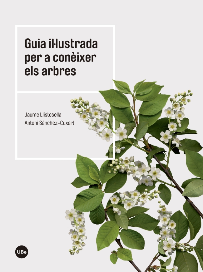 Guia il·lustrada per a conèixer els arbres