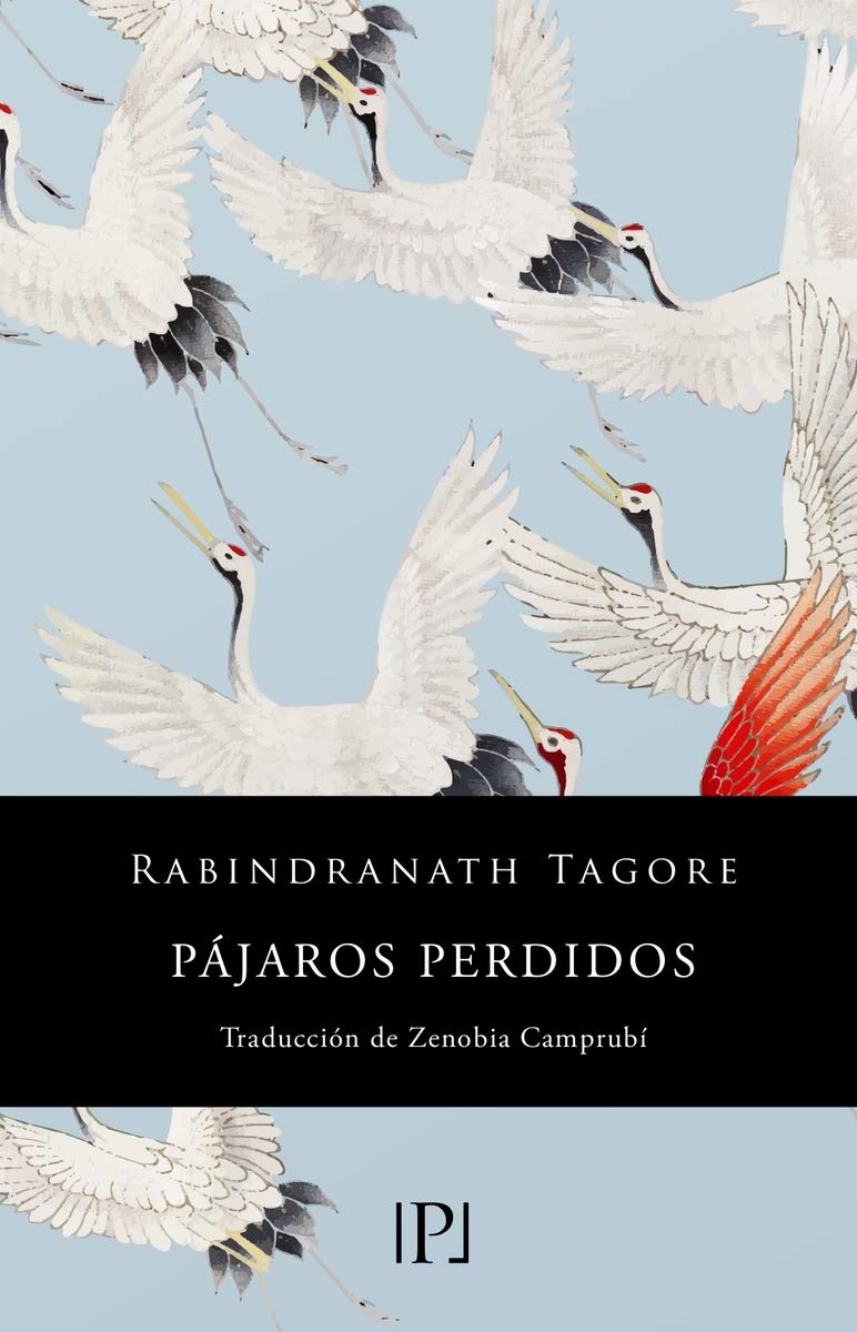 Pájaros perdidos