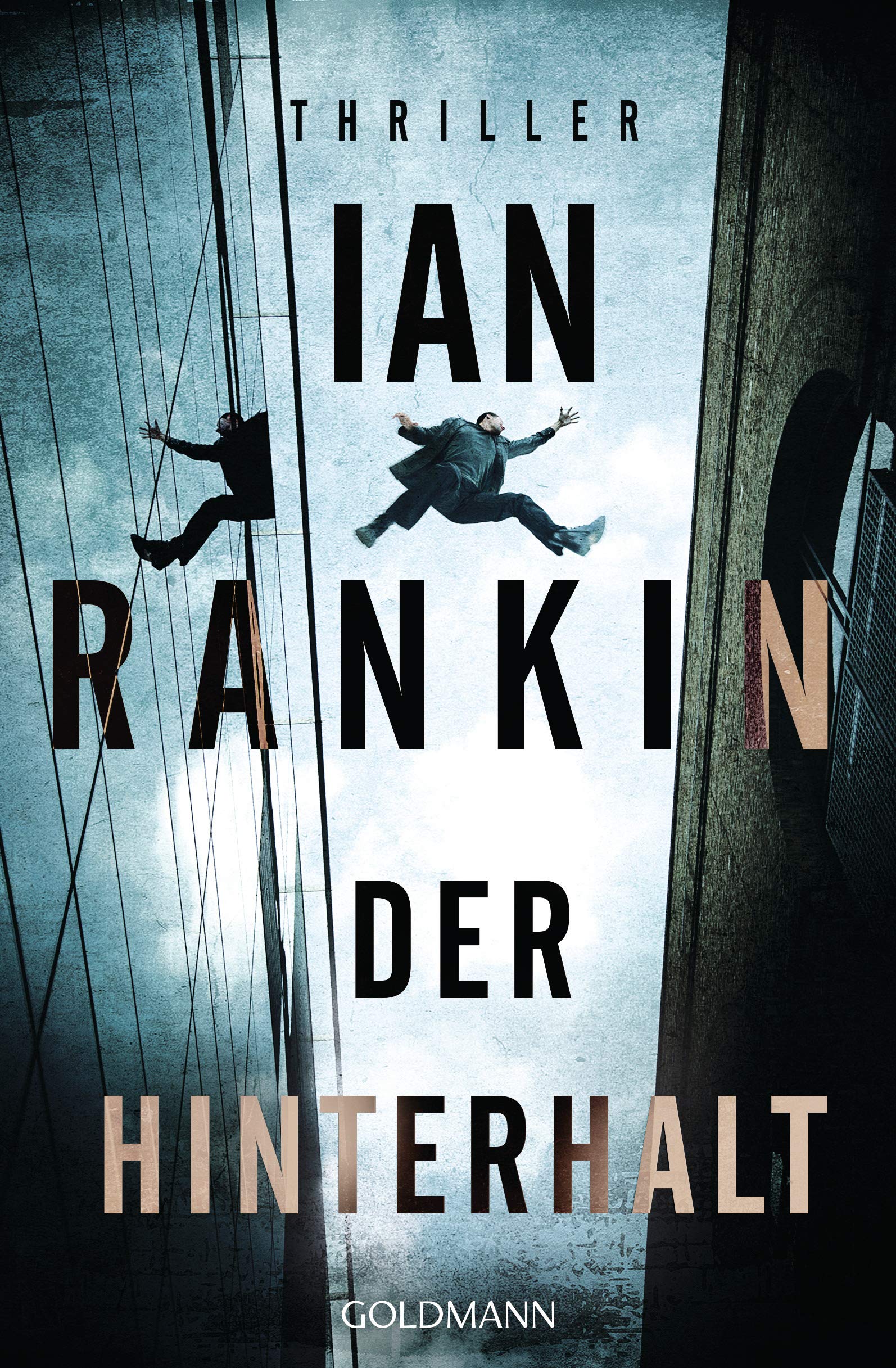 Der Hinterhalt: Thriller