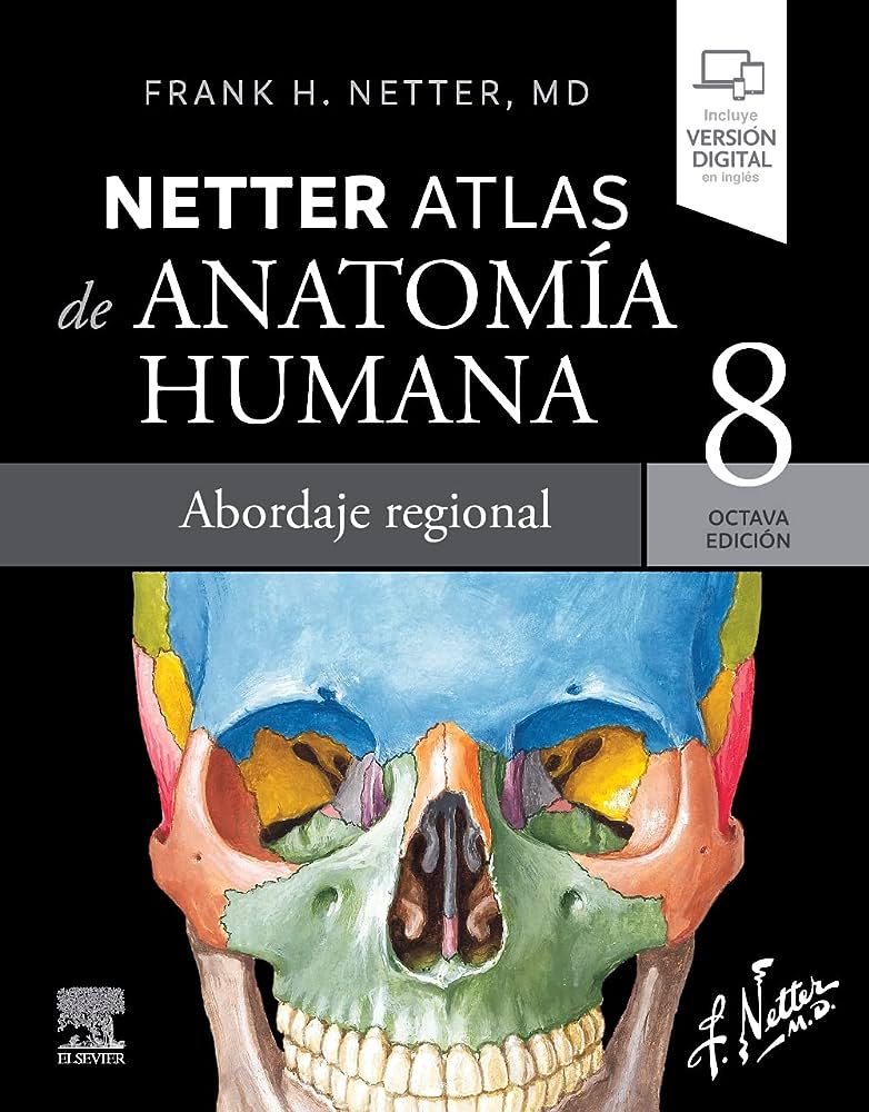 Netter Atlas de anatomía humana (8ª ed.)