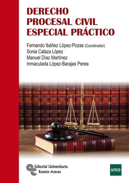 Derecho procesal civil especial práctico