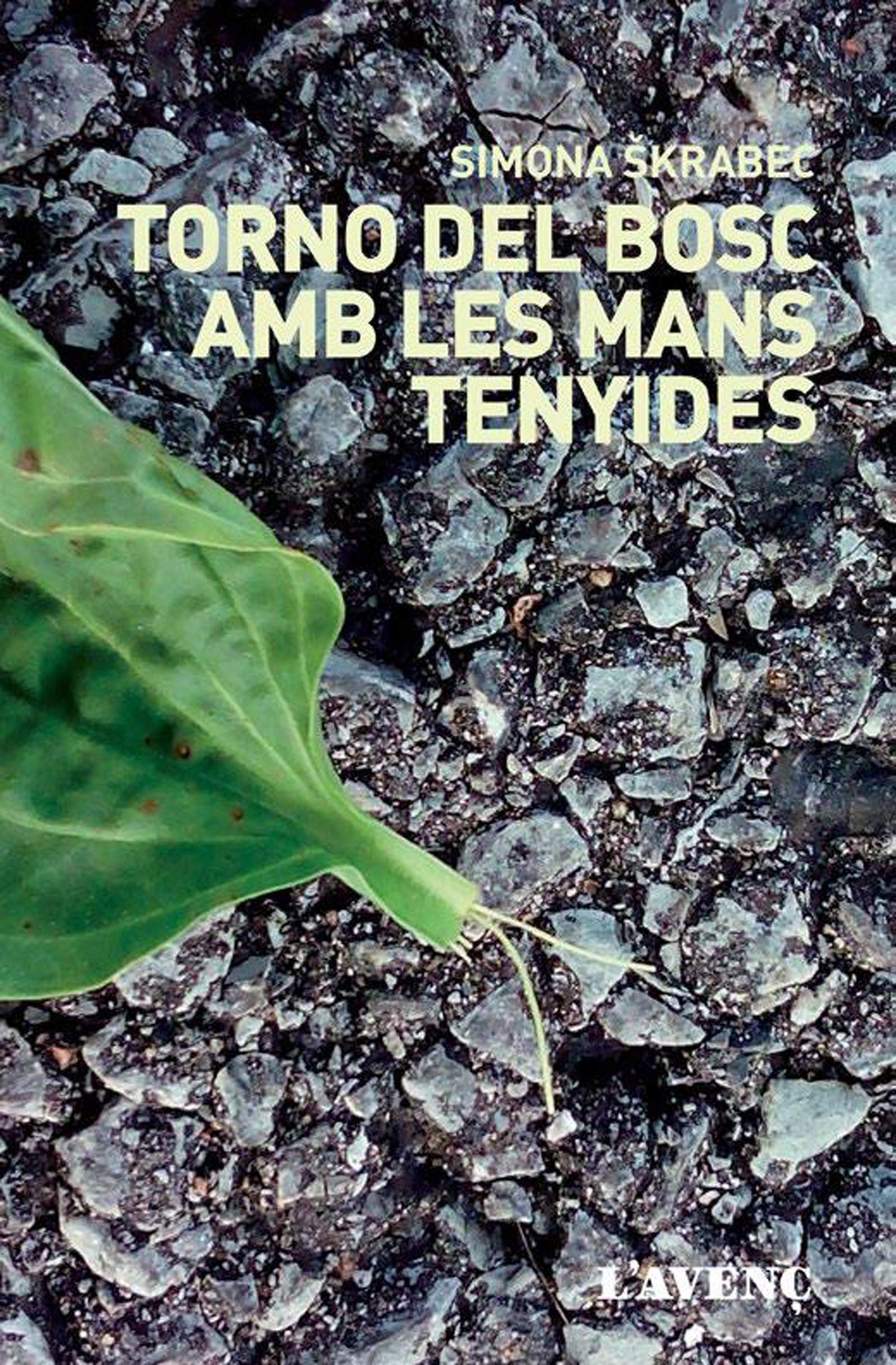 Torno del bosc amb les mans tenyides