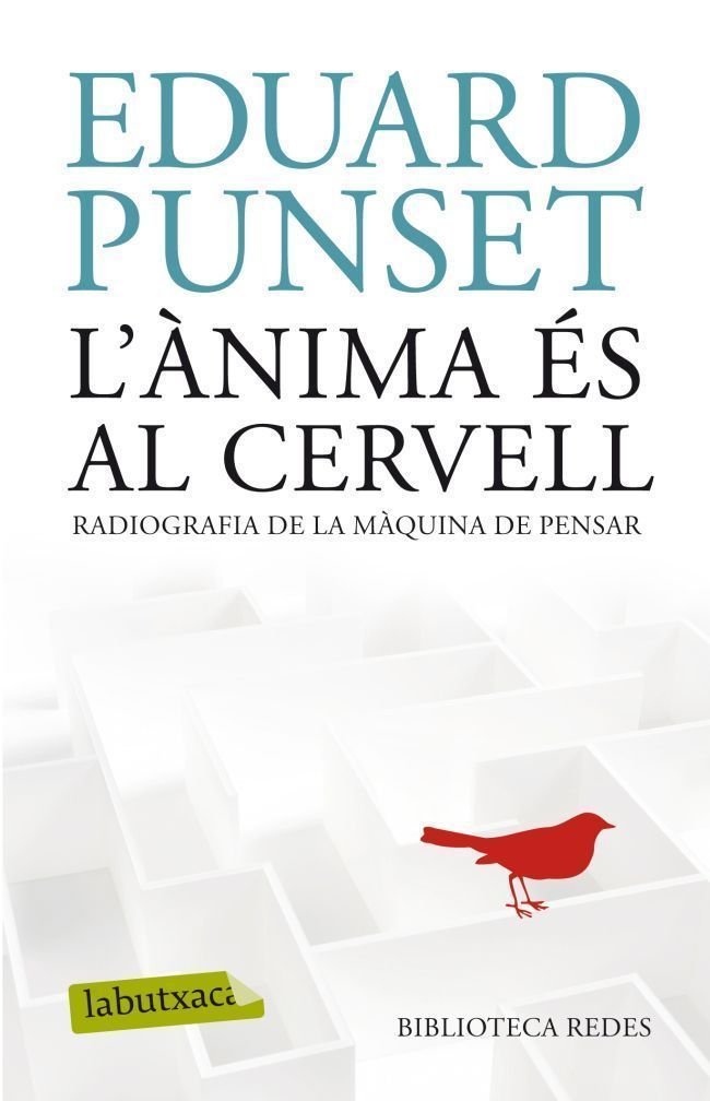 L'ànima és al cervell