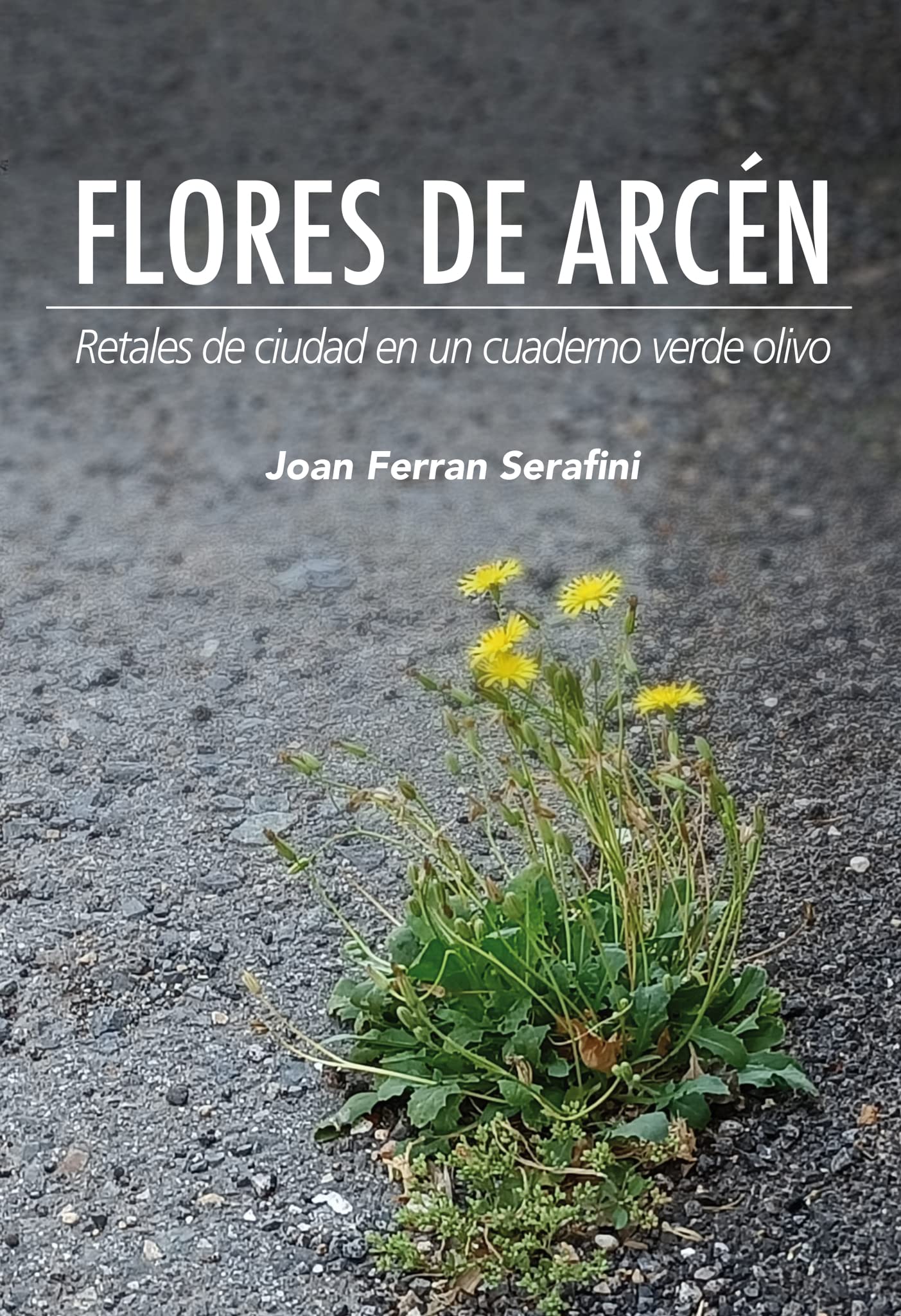 Flores de arcén