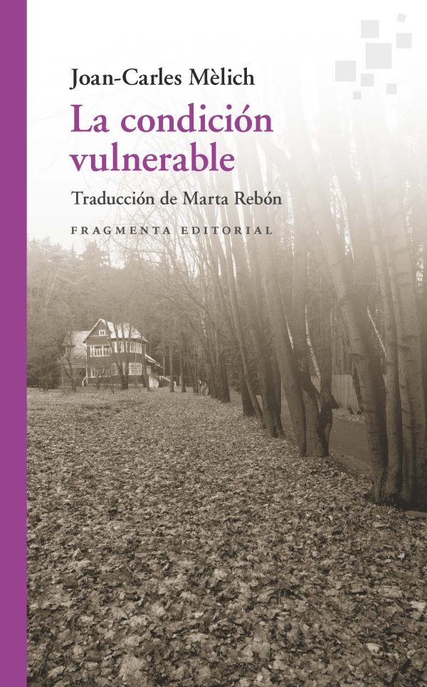 La condición vulnerable (Ensayo de filosofía literaria, II)