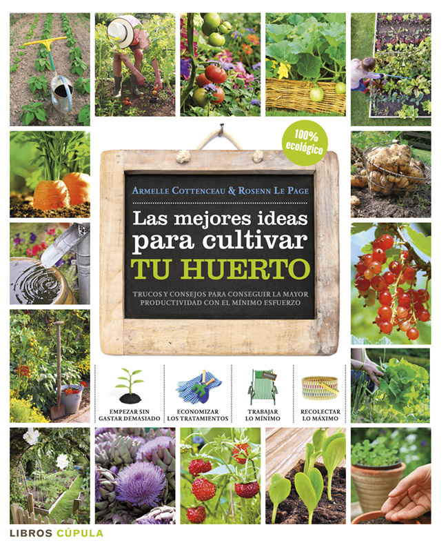 La mejores ideas para cultivar tu huerto