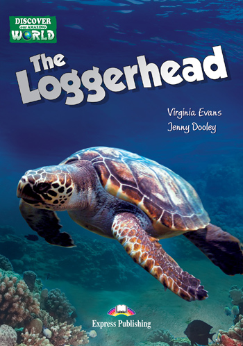 The Loggerhead A1/A2 (Multi-ROM)