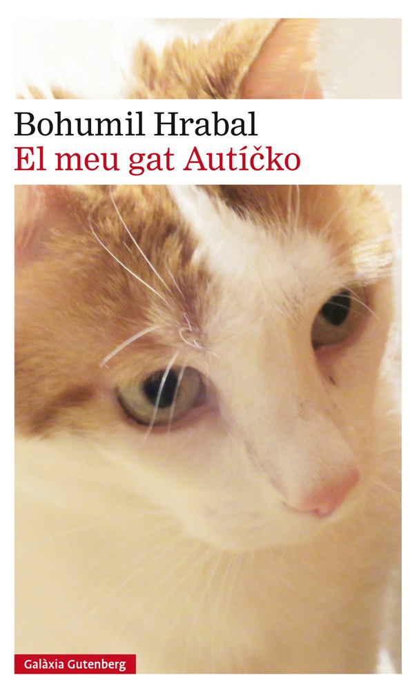 El meu gat Autìcko