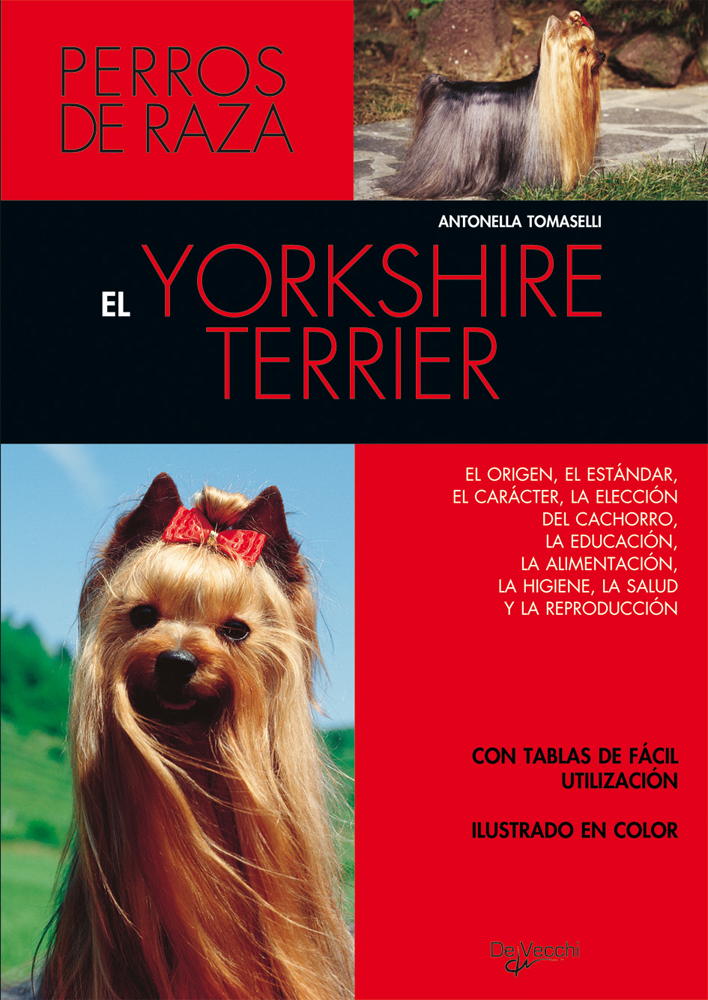 El yorkshire terrier