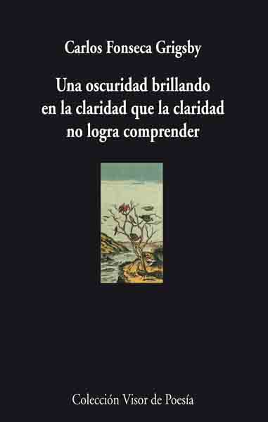 Una oscuridad brillando en la claridad que la claridad no logra comprender (XX Premio Internacional de Poesía Fundación LOEWE 2008 Jovén Creación)