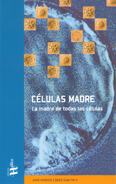 Células madre. La madre de todas las células