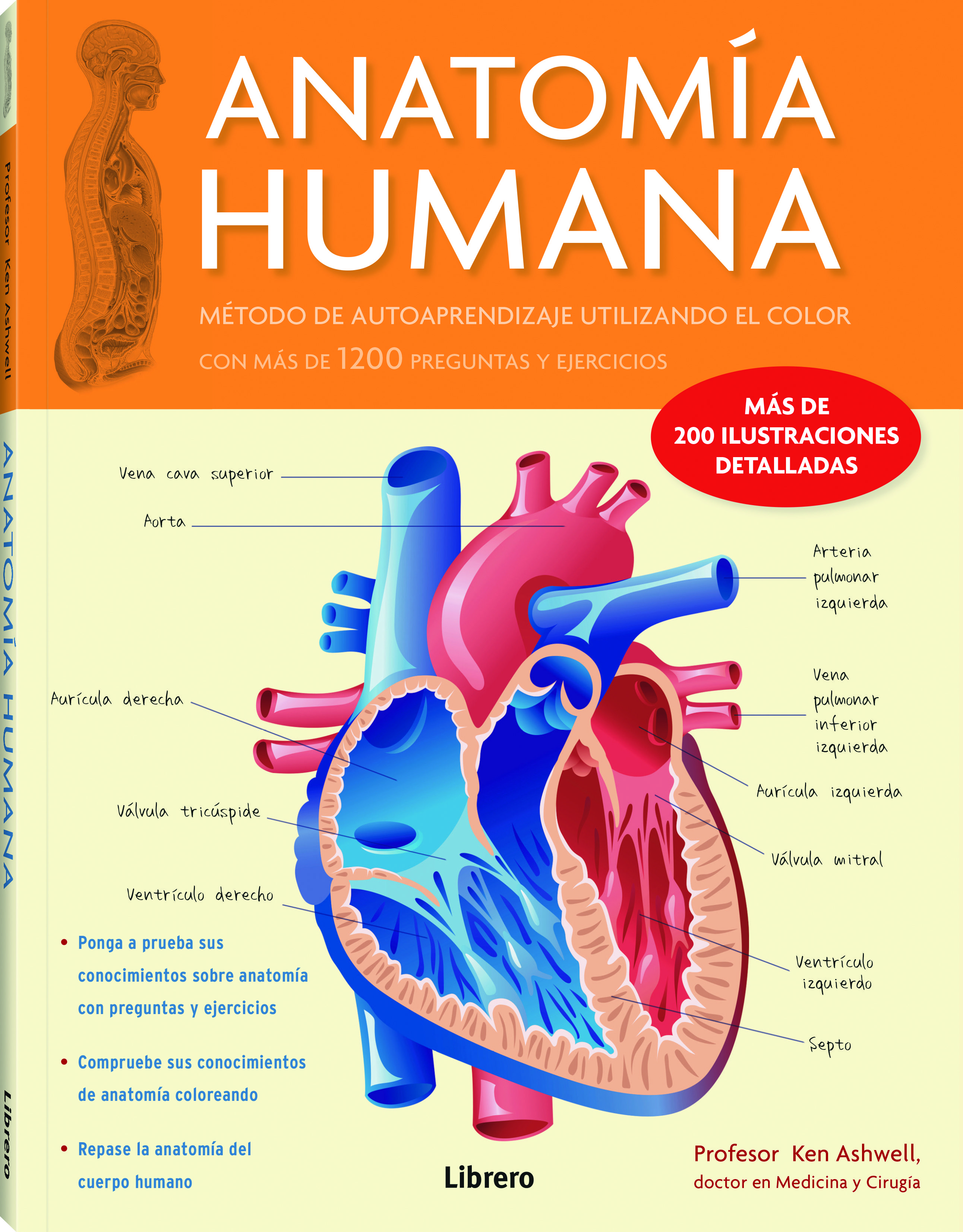 Anatomía humana. Método de autoaprendizaje utilizando el color con más de 1200 preguntas y ejercicios