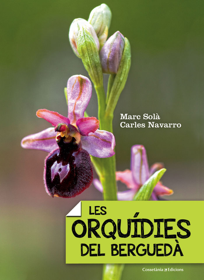 LES ORQUíDIES DEL BERGUEDà