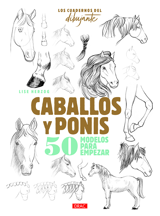 Caballos y ponis. 50 modelos para empezar