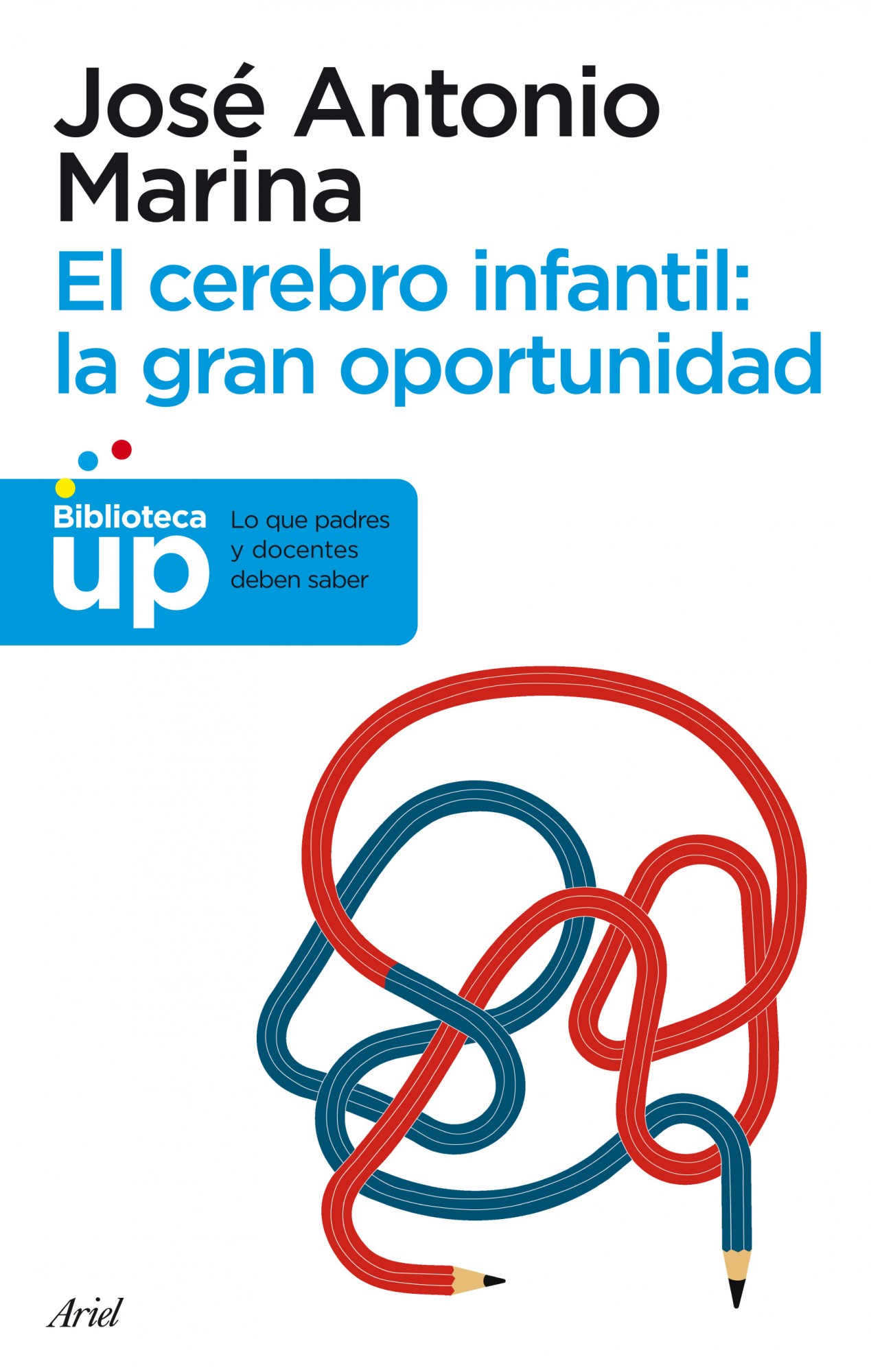 El cerebro infantil : La gran oportunidad (Lo que padres y docentes deben saber)